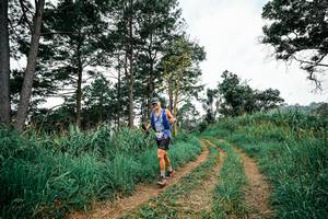 BIB: 
                            <button type="button" onclick="openModal(26036530)" class="btn btn-primary btn-sm float-right btn-popup" data-toggle="modal" data-target=".modal-high-quality">
                        <i class="fas fa-shopping-cart"></i> Add to Cart
                    </button>
                                            <button type="button" onclick="isThisMe(26036530, true)" class="btn btn-success btn-sm float-right btn-popup btn-isme hidden" data-toggle="tooltip" data-placement="bottom" title="นี่คือรูปของคุณใช่ไหม คลิกที่นี่เพื่อเอาเข้าอัลบั้ม">
                        <i class="fas fa-plus"></i> Add to album
                    </button>
                    <button type="button" onclick="isThisMe(26036530, false)" class="btn btn-warning btn-sm float-right btn-popup btn-isnotme hidden">
                        <i class="fas fa-ban"></i> Remove from album
                    </button>